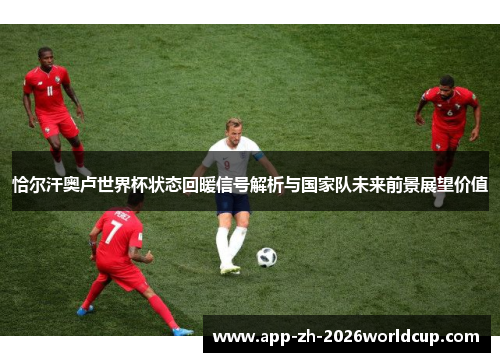 恰尔汗奥卢世界杯状态回暖信号解析与国家队未来前景展望价值