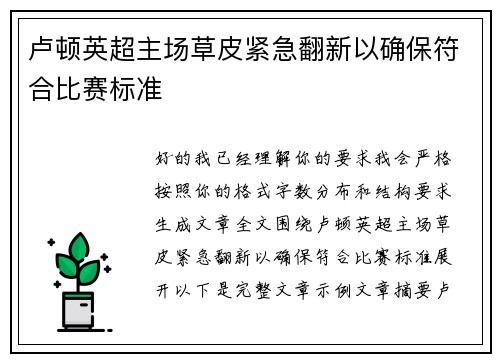 卢顿英超主场草皮紧急翻新以确保符合比赛标准